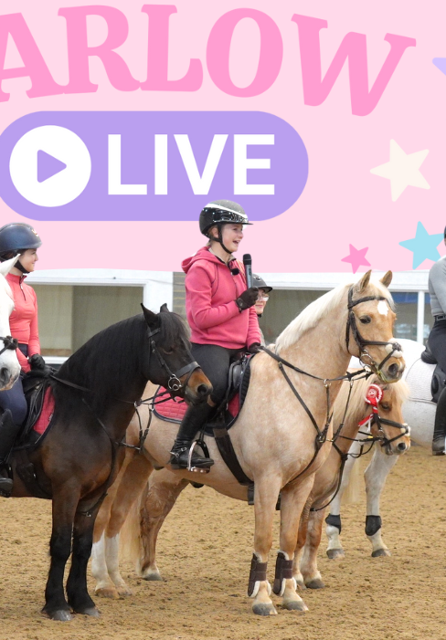 Harlow Live! | Kelsall Hill 26th October